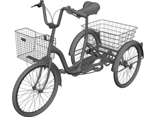 Three-wheeled Bicycle 3D Model