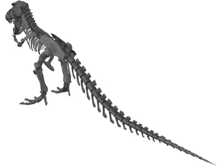 Tyrannosaurus Rex Skeleton 3D Model