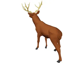Deer Mule 3D Model