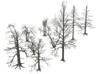 Dead Trees 3D Model