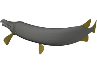 Alligator Gar (Atractosteus Spatula) 3D Model