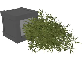 Bamboo Plant 3D Model