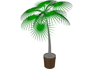 Palm Tree Plant 3D Model