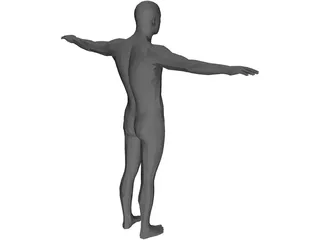 Human Body Male 3D Model