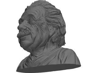 Albert Einstein 3D Model