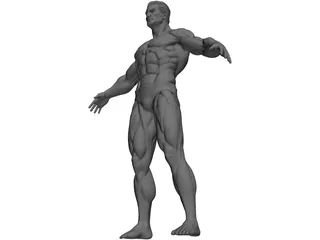 Super Human 3D Model