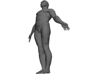 Male Body 3D Model