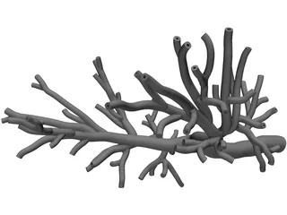 Bronchial Tree Human 3D Model
