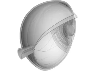 Human Eye Cross Section 3D Model