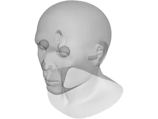 Samuel Head 3D Model
