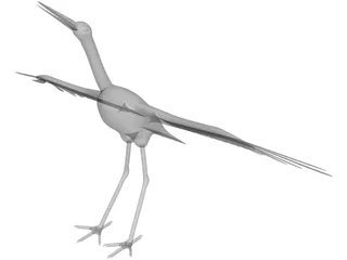 Ciconia Stork 3D Model