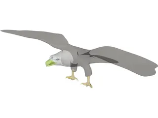 Eagle Bald 3D Model