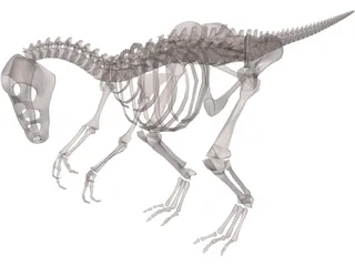 Dinosaur Skeleton 3D Model