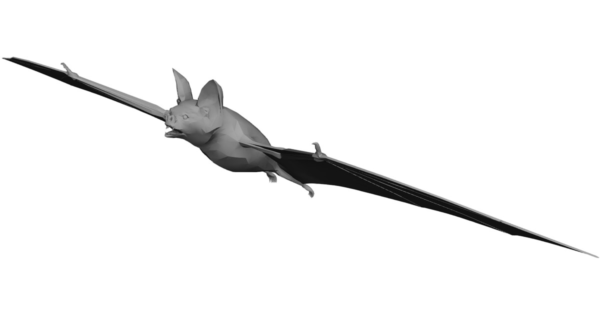 Multidimensional Bat Bat 3D Model - 3D CAD Browser