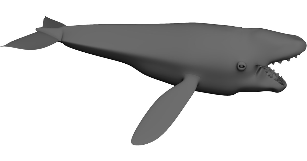 Whale Solidworks Whale 3D Model - 3D CAD Browser