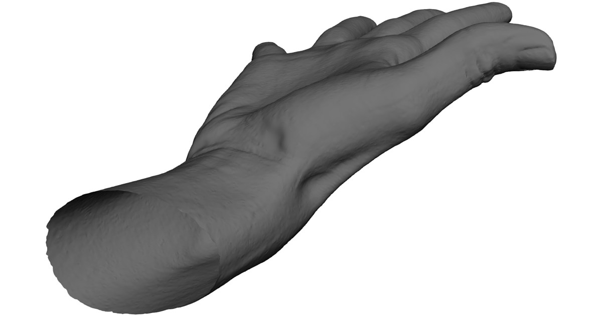 Open Hand 3D Model - 3D CAD Browser