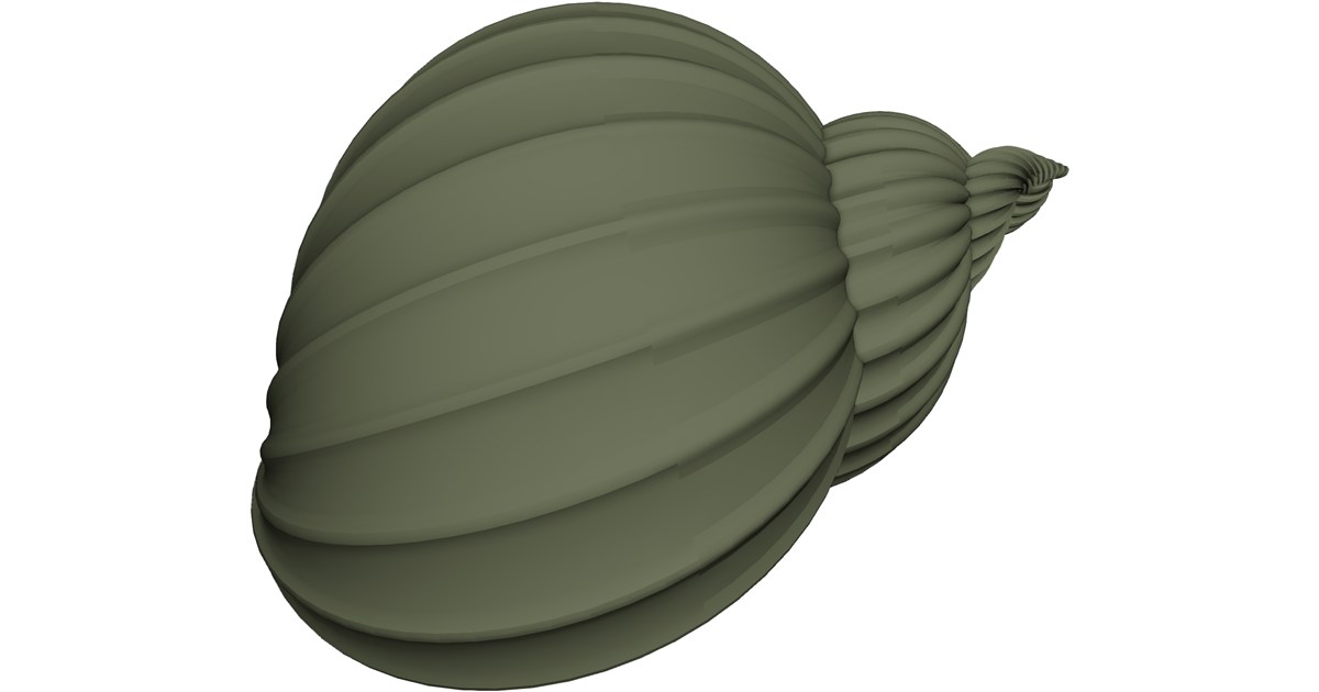 Shell Sea 3D Model - 3D CAD Browser