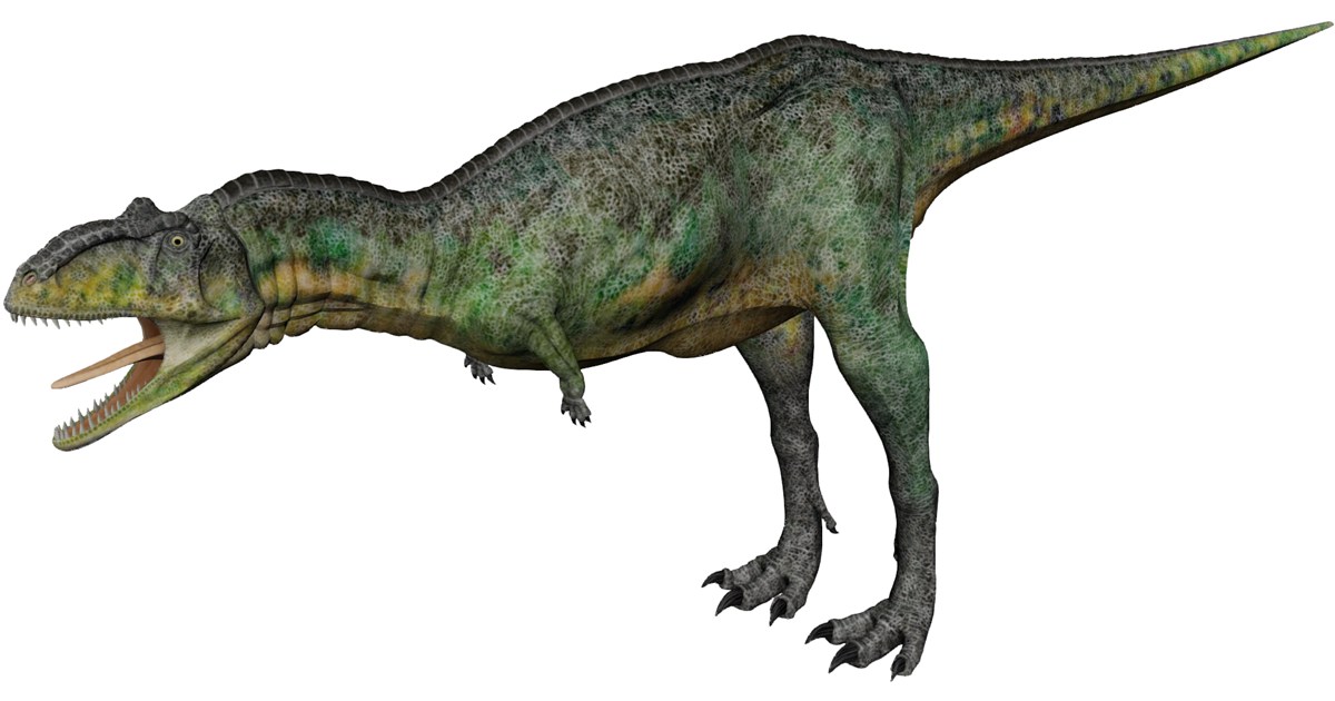 Aucasaurus 3D Model - 3D CAD Browser