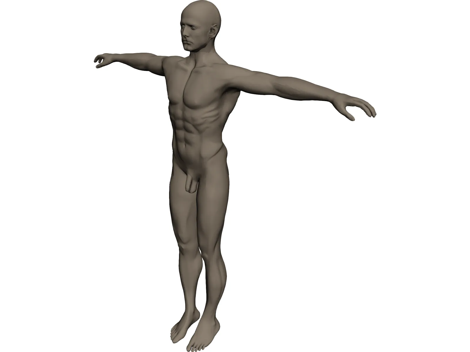 Man 3D Model