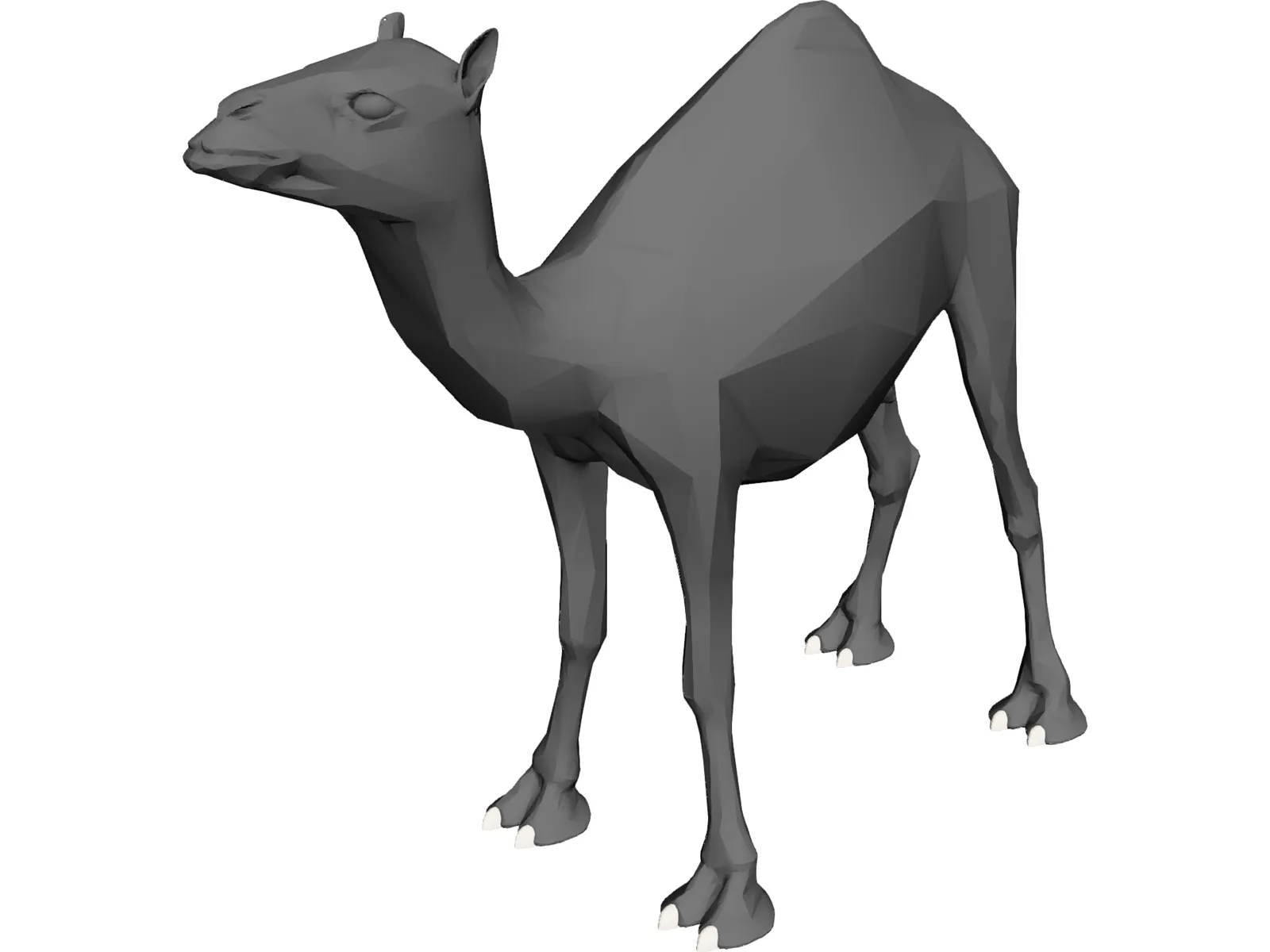 Dromedary 3D Model