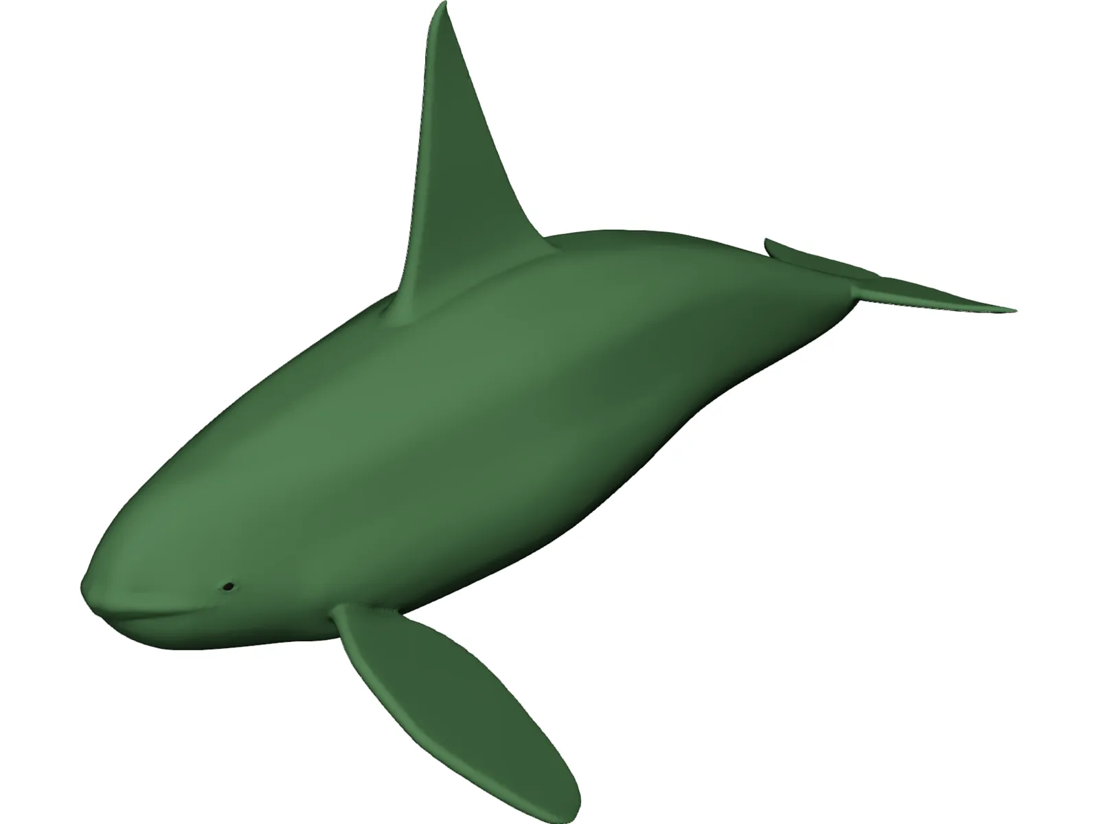 Whale Killer Male 3D Model