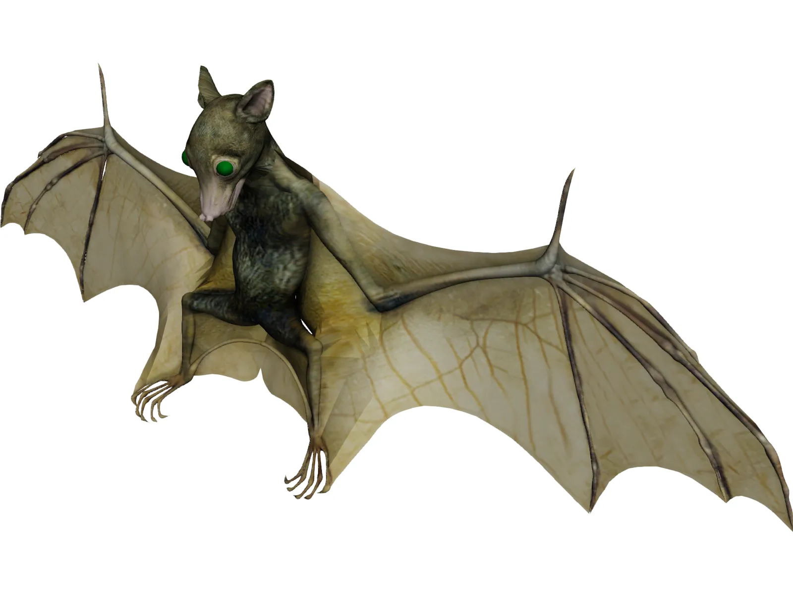 Bat 3D Model