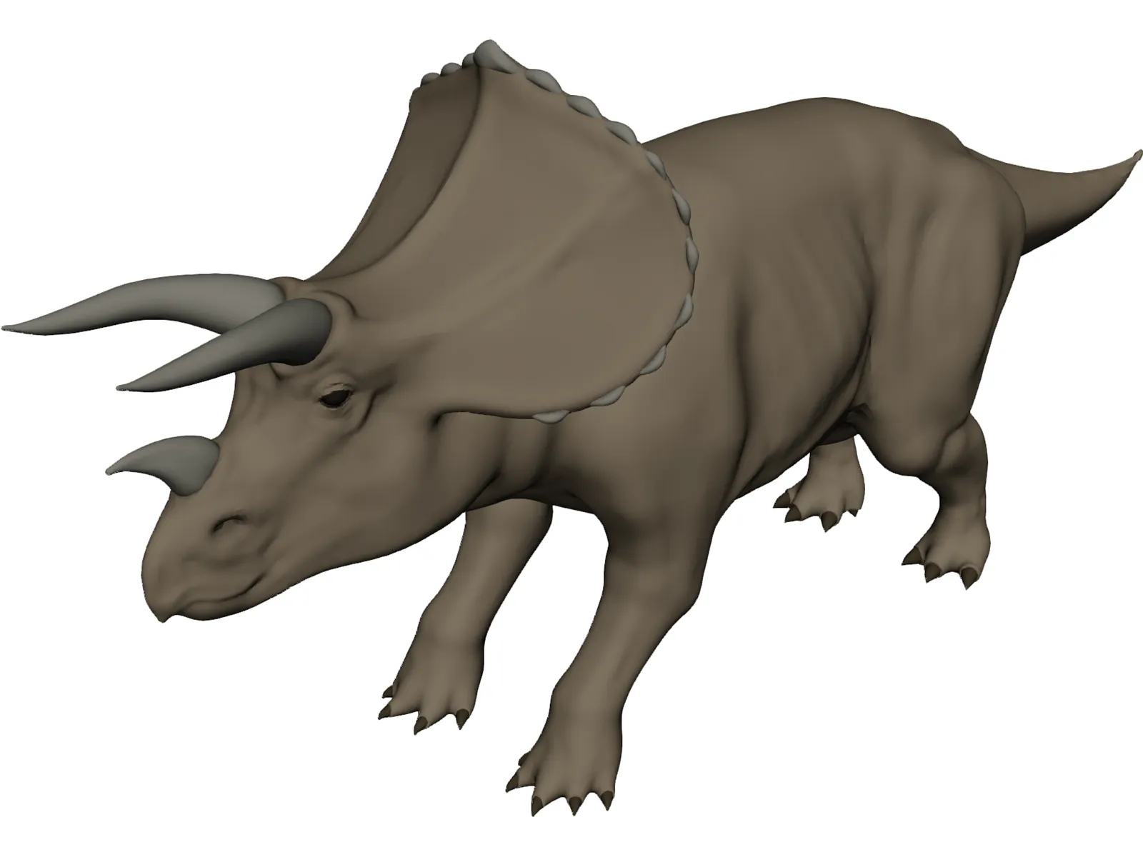 Triceratops 3D Model