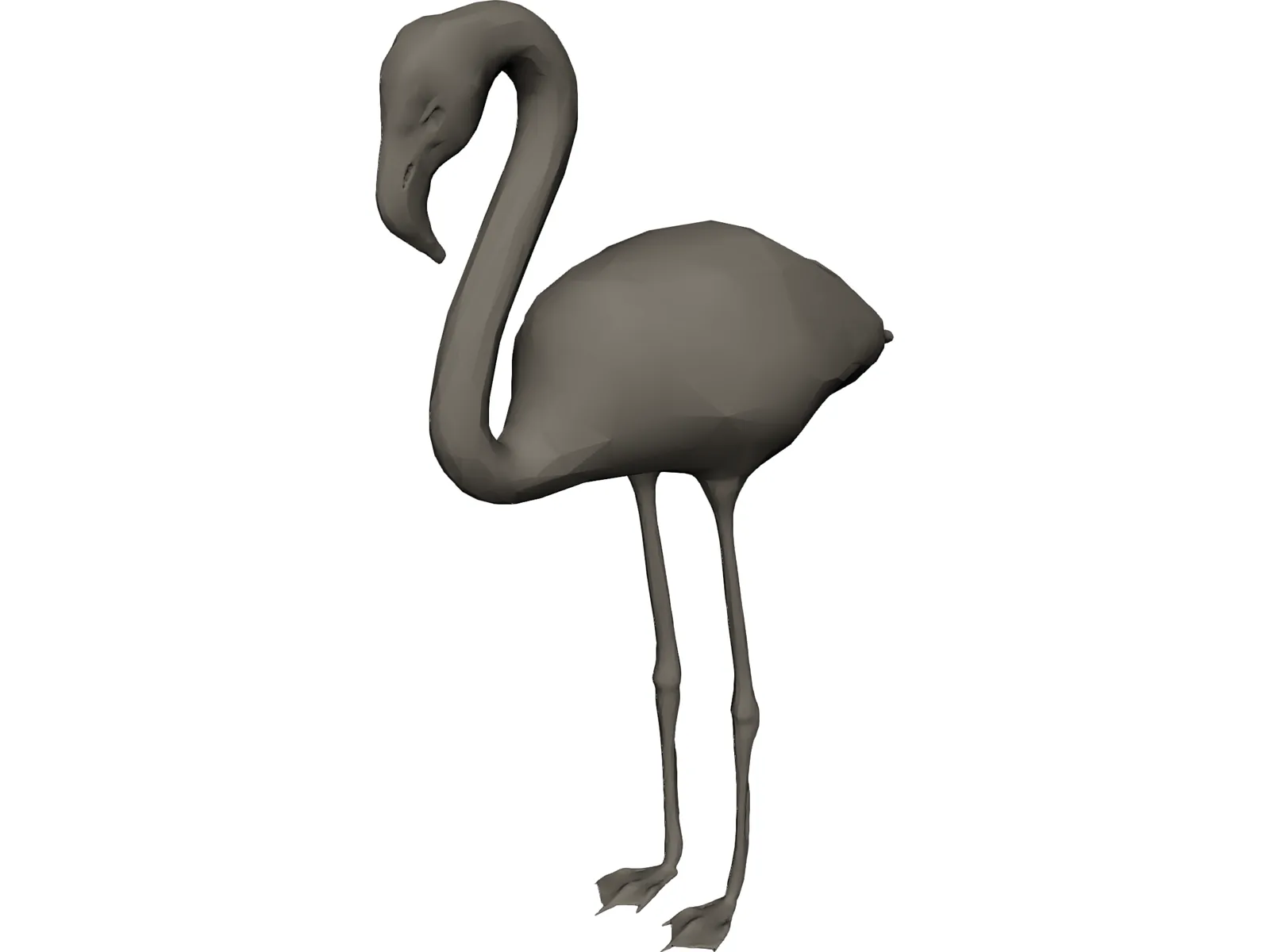 Flamingo 3D Model