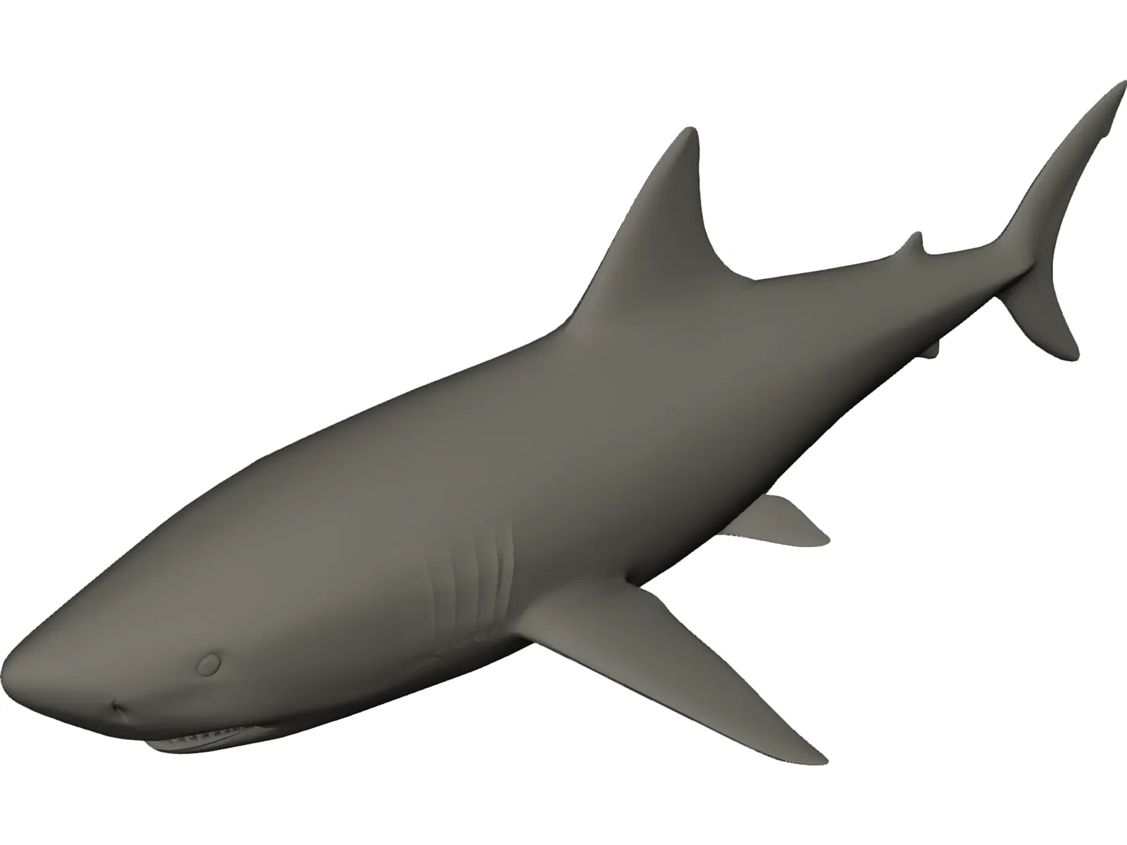 Hammerhead SHark - Blender 3D Models : Blender 3D Models