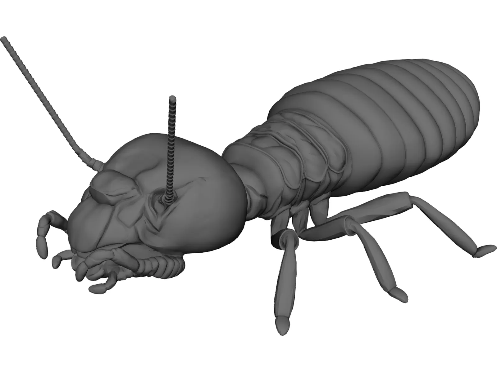 Termite 3D Model