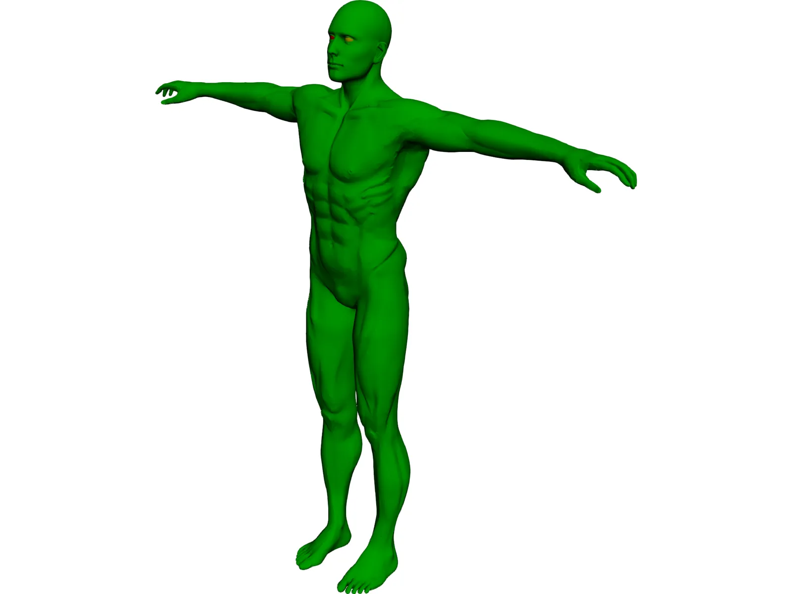 Swimmer 3D Model