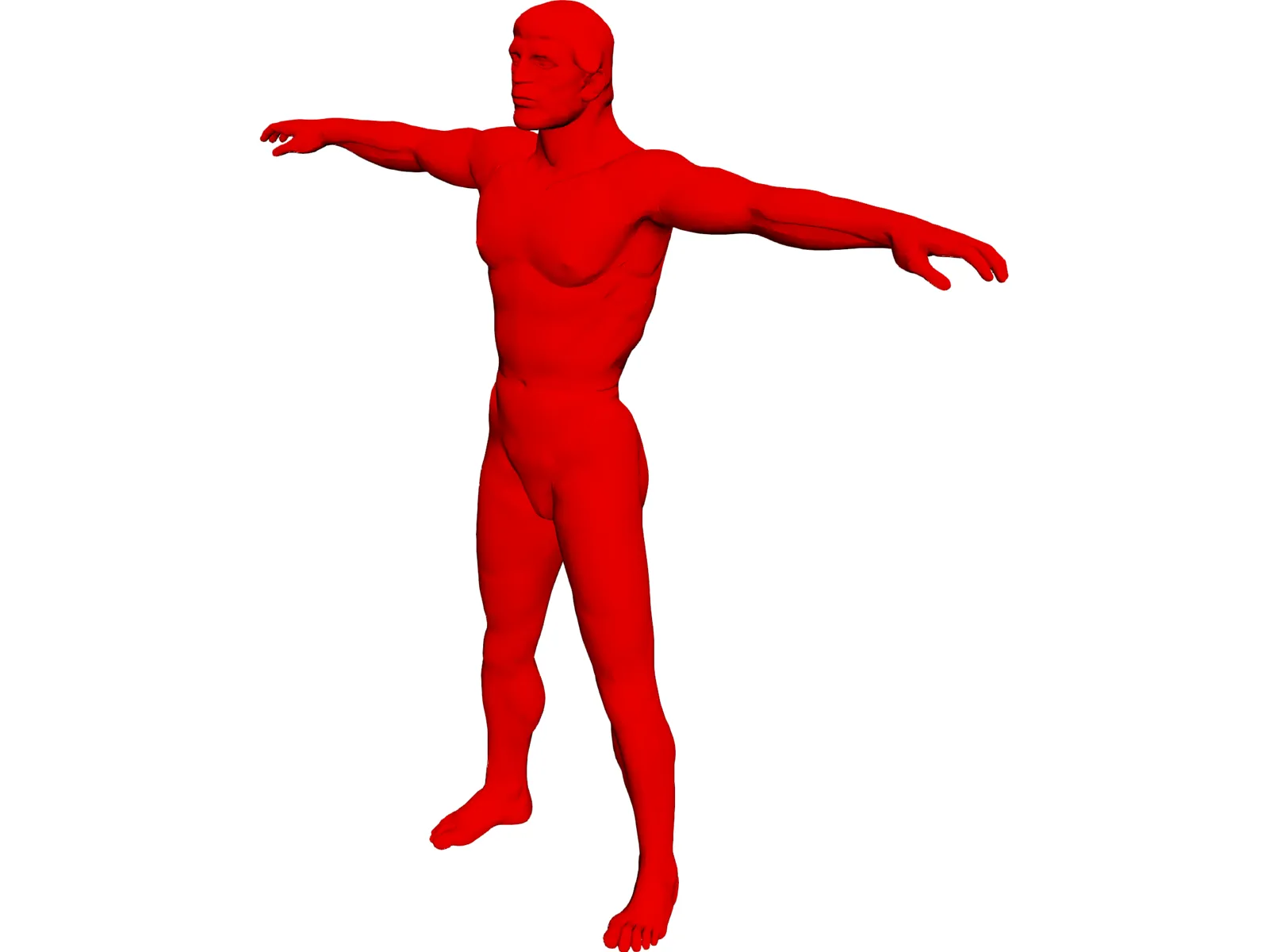 Man 3D Model