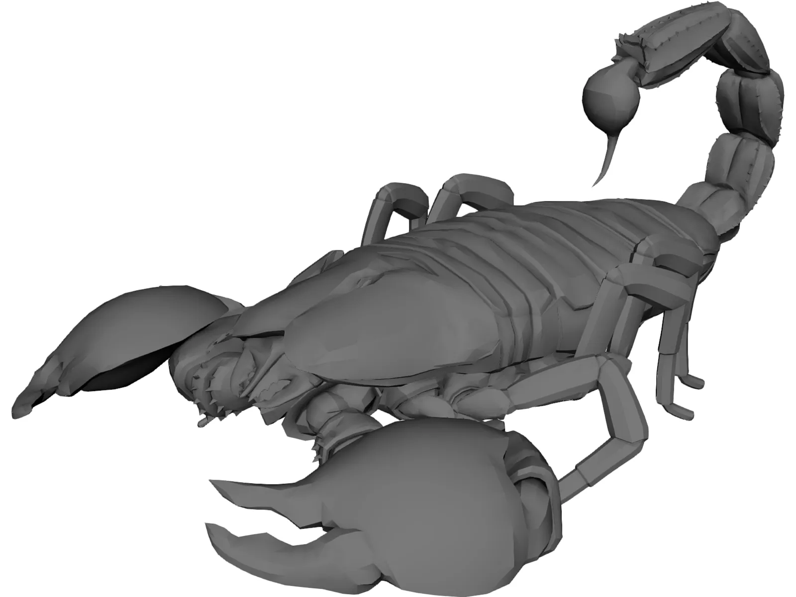 Scorpion 3D Model