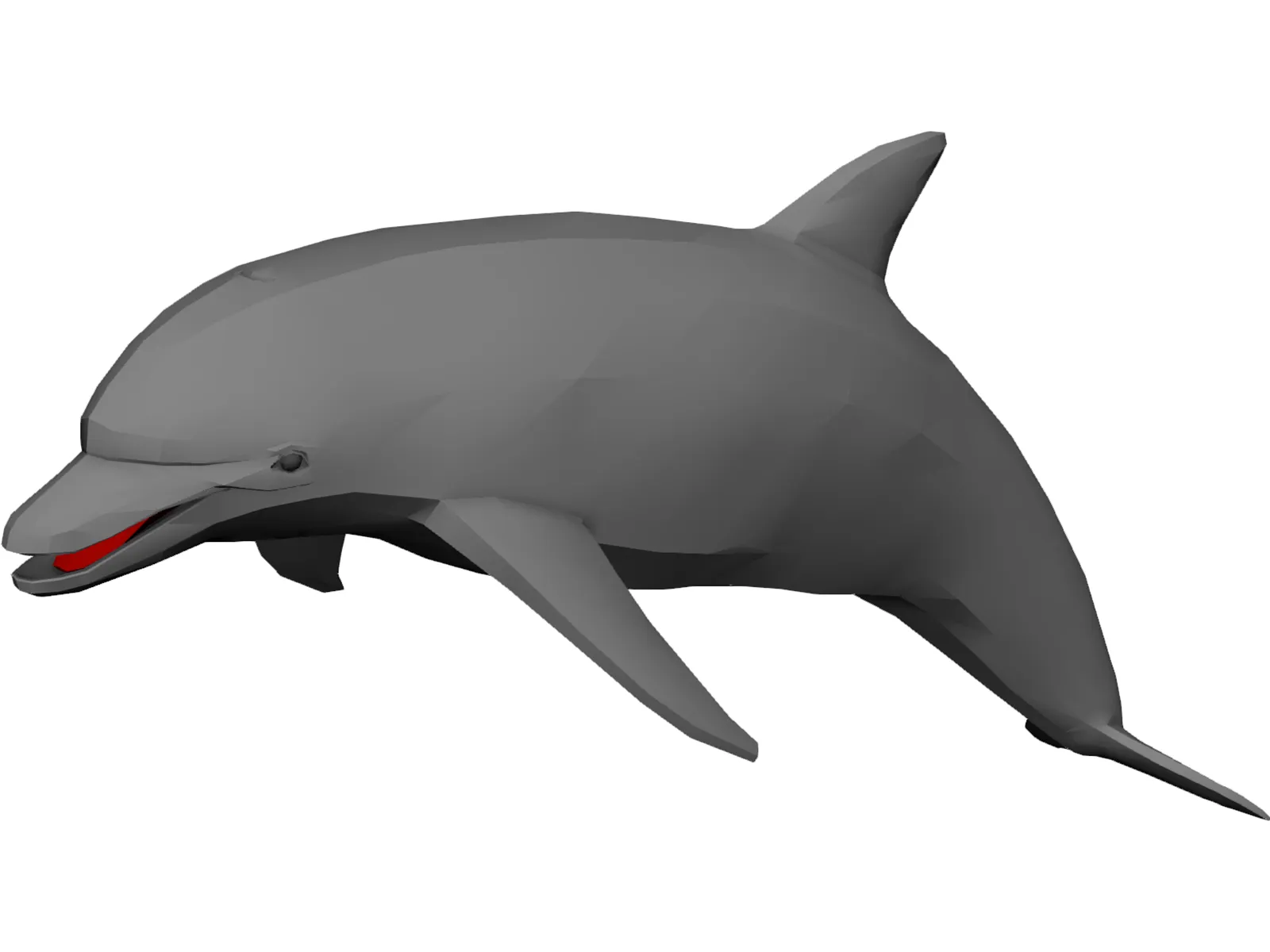 Dolphin 3D Model