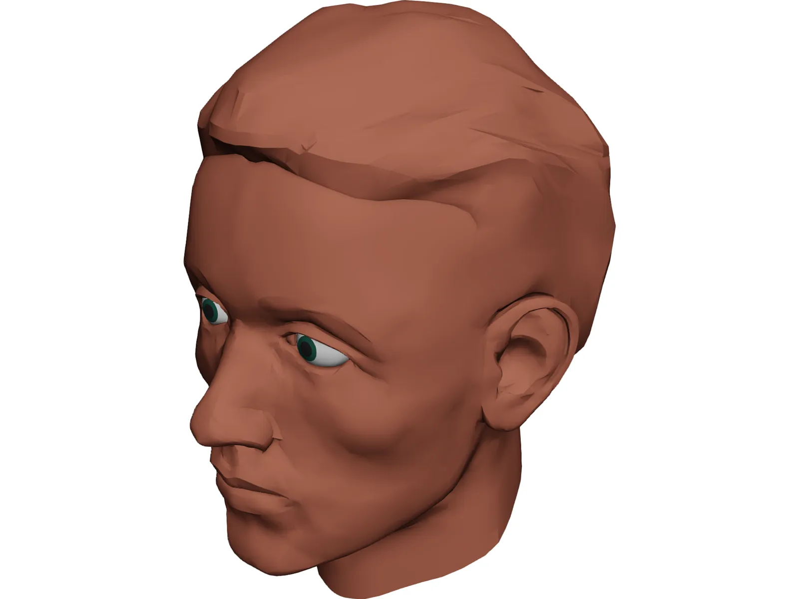 Face Muscles and Head 3D Model