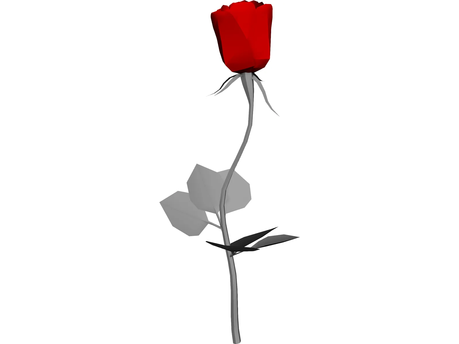 Rose 3D Model