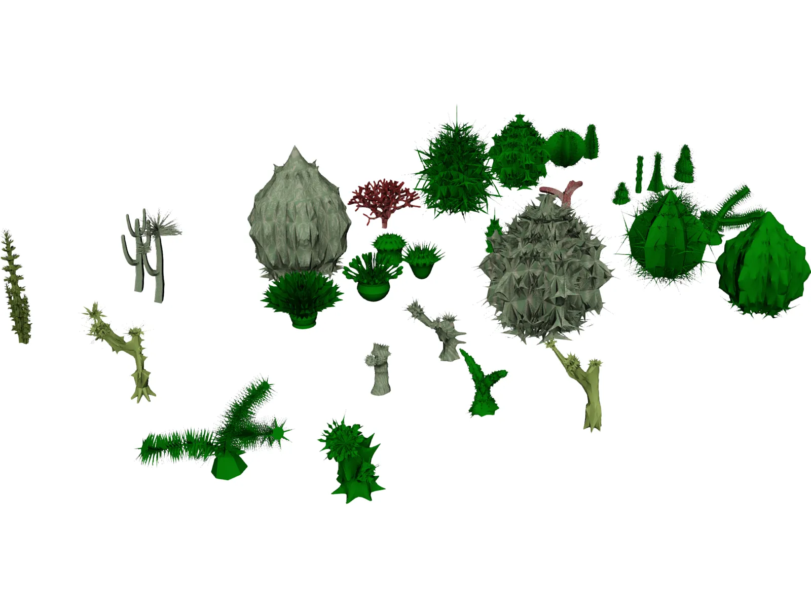 Cactuses Collection 3D Model