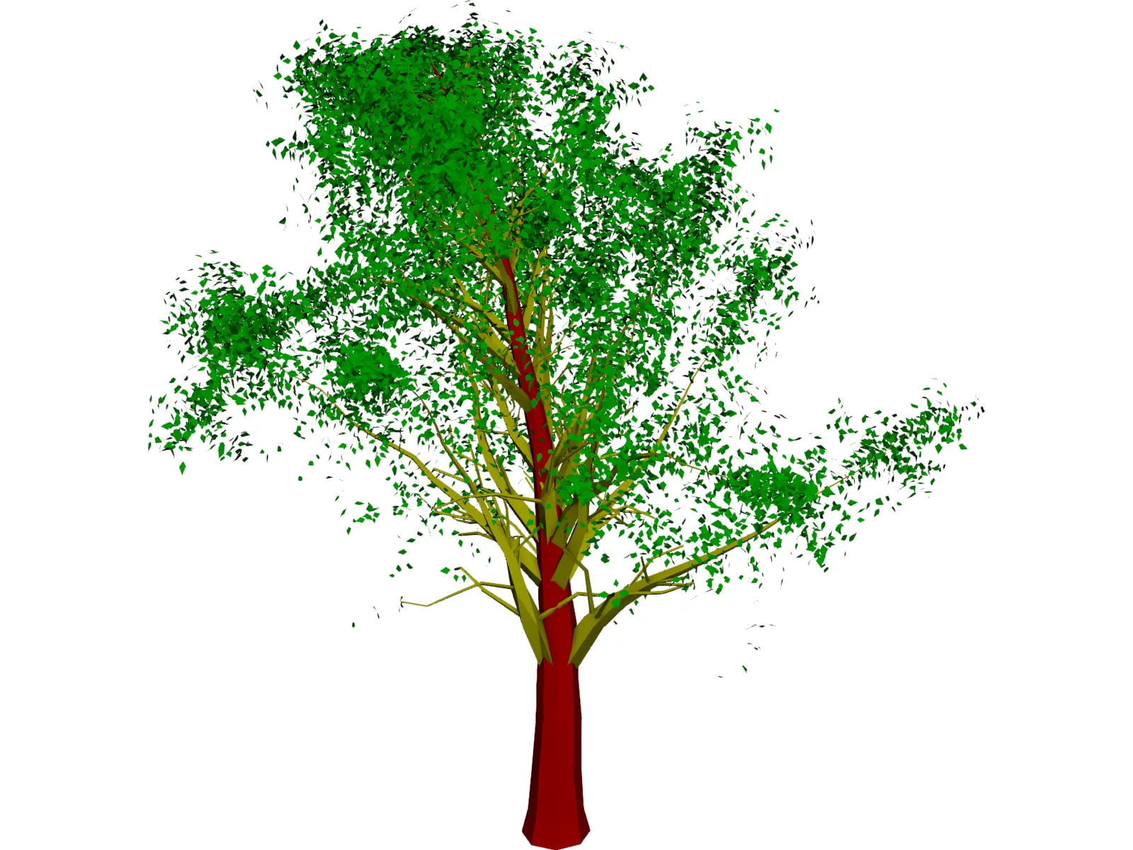 Tree 3D Model