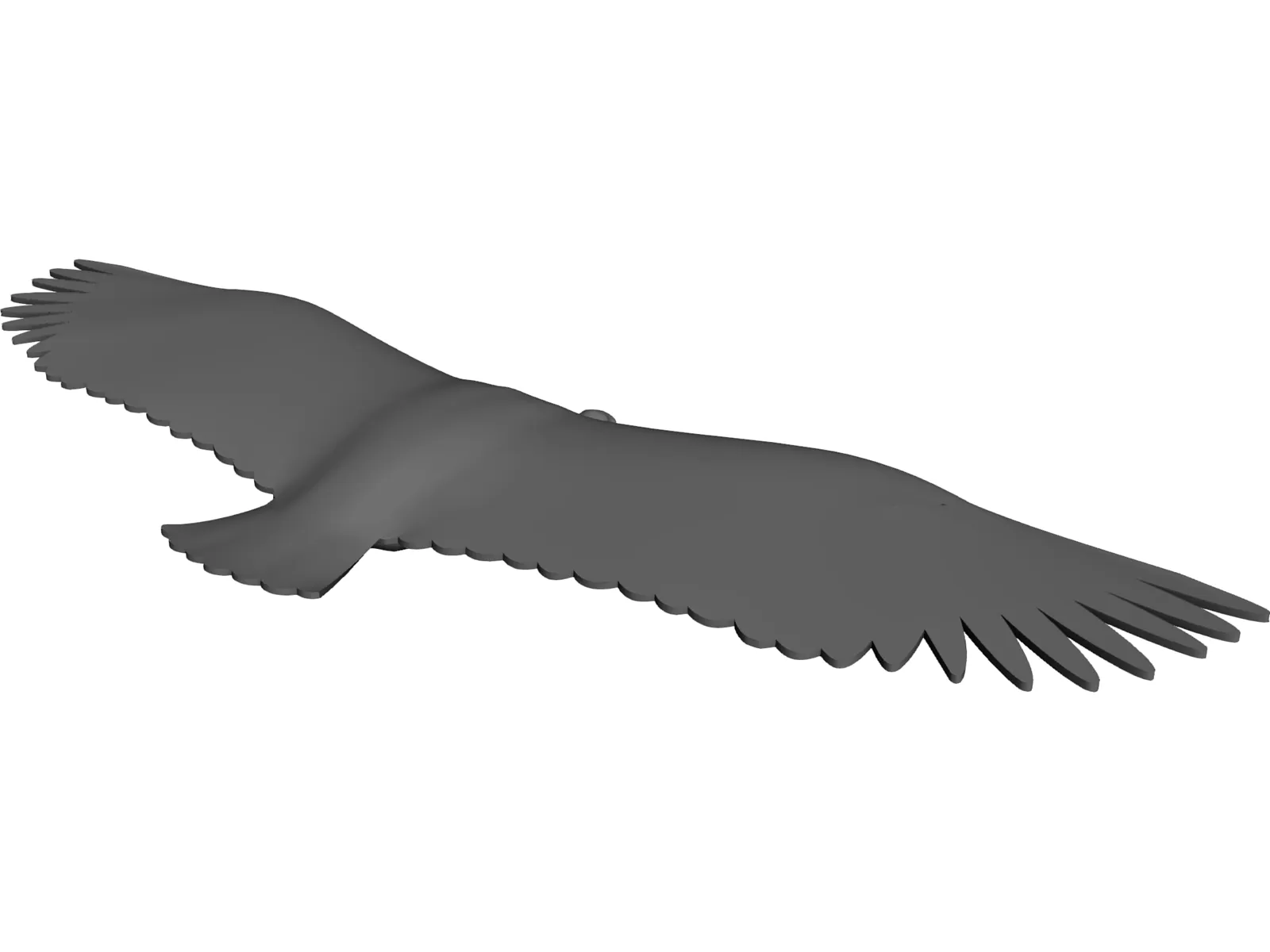 Vulture 3D Model