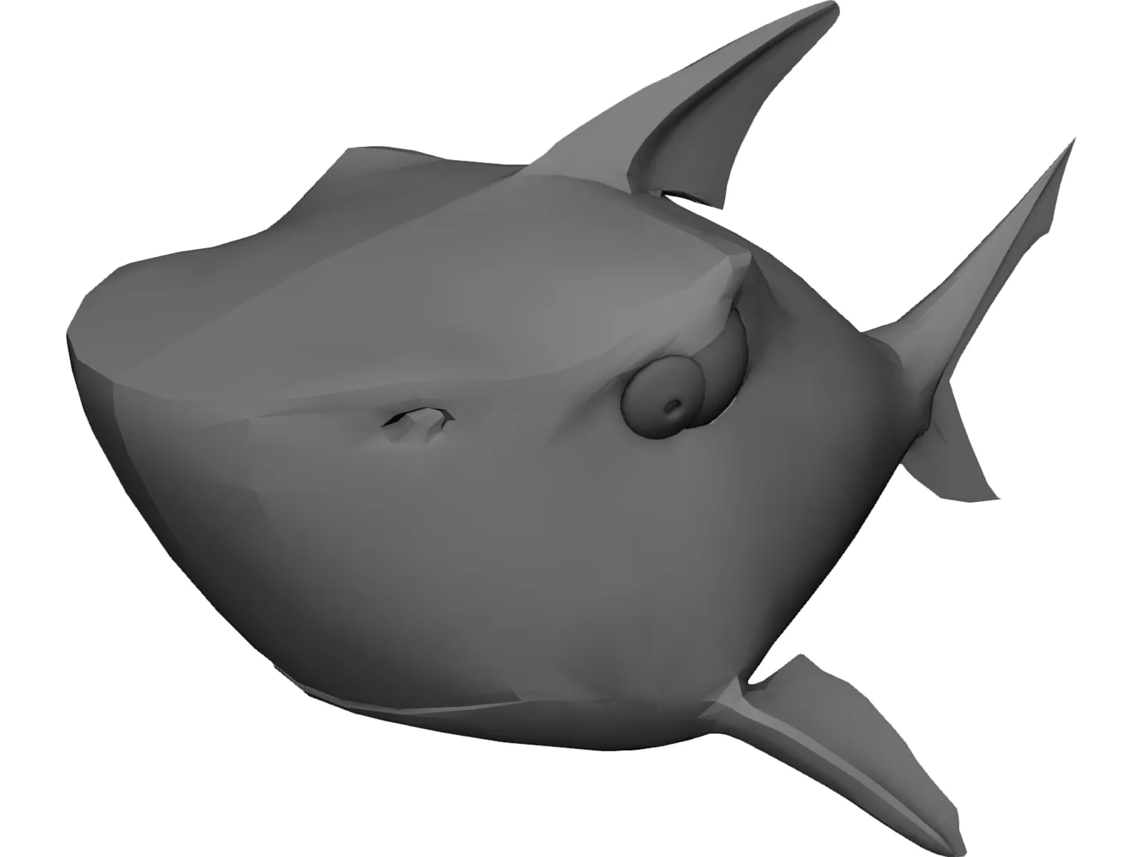 Shark 3D Model