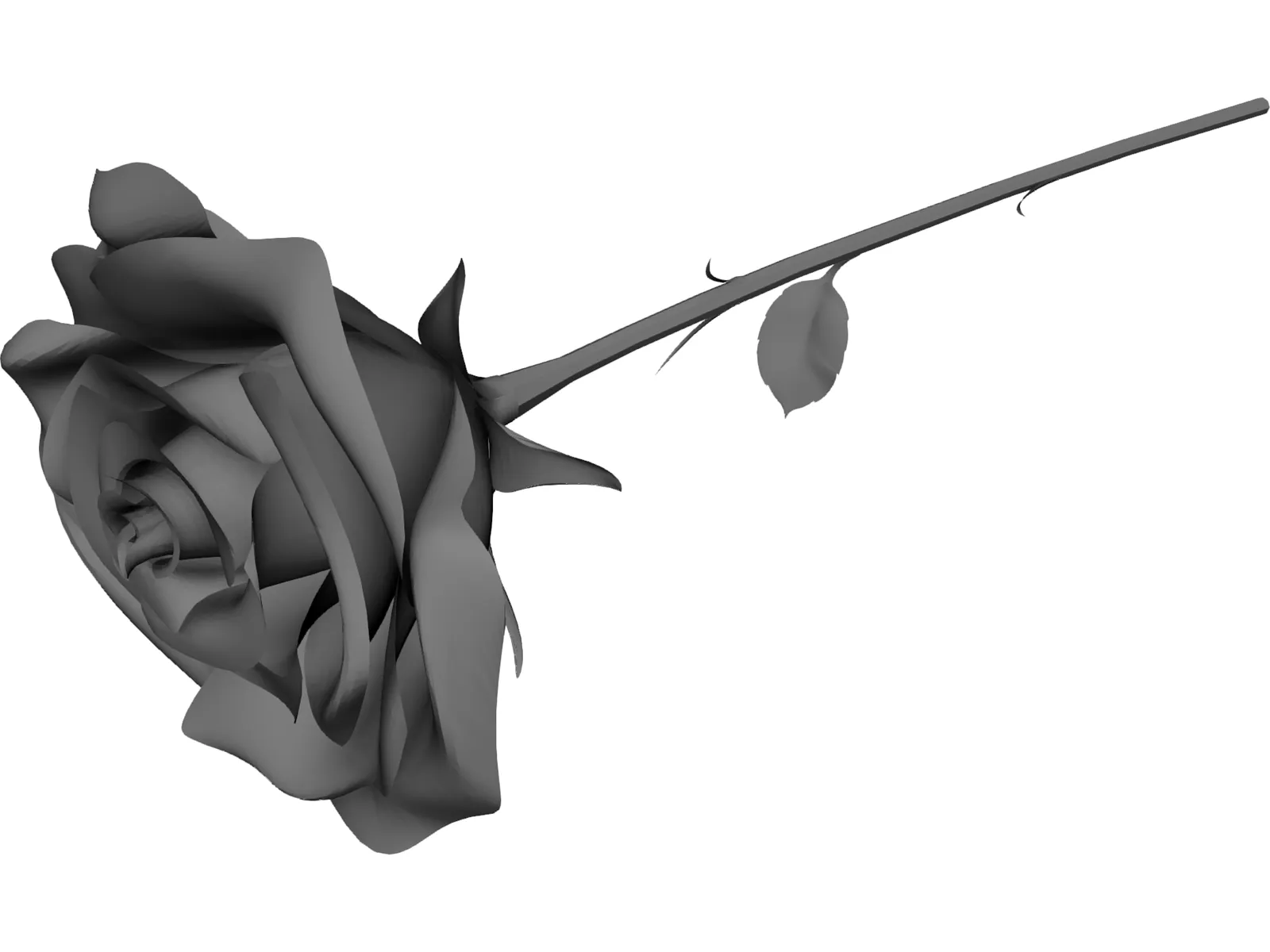 Rose 3D Model