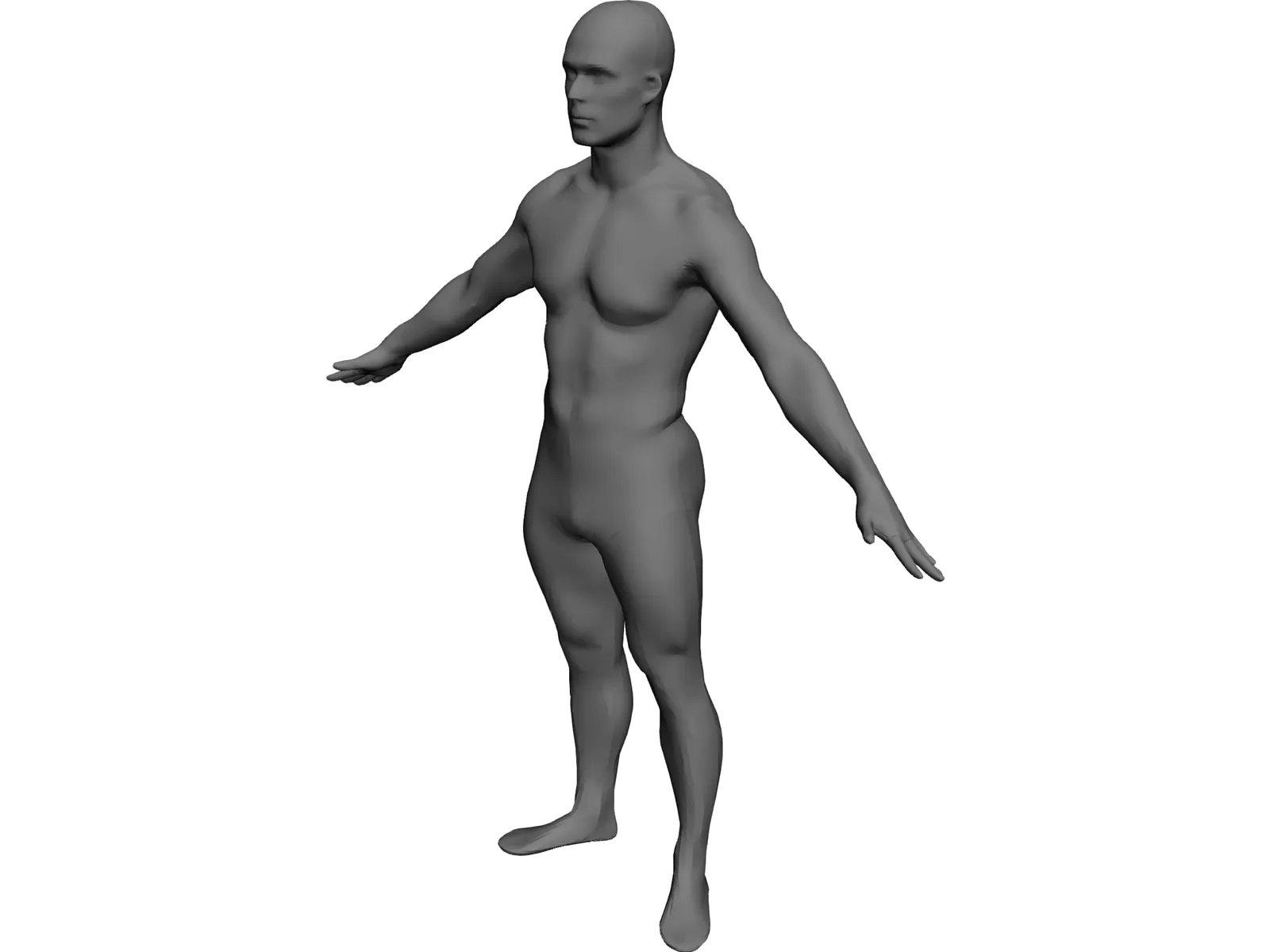 Man European 3D Model