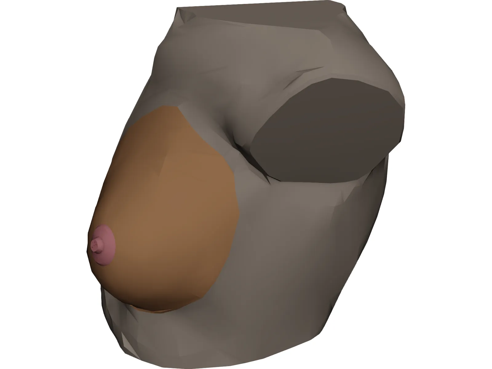 Breast 3D Model