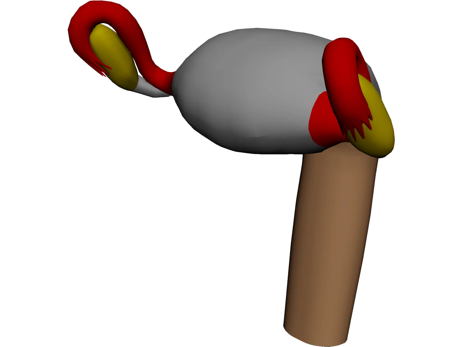 Uterus 3D Model