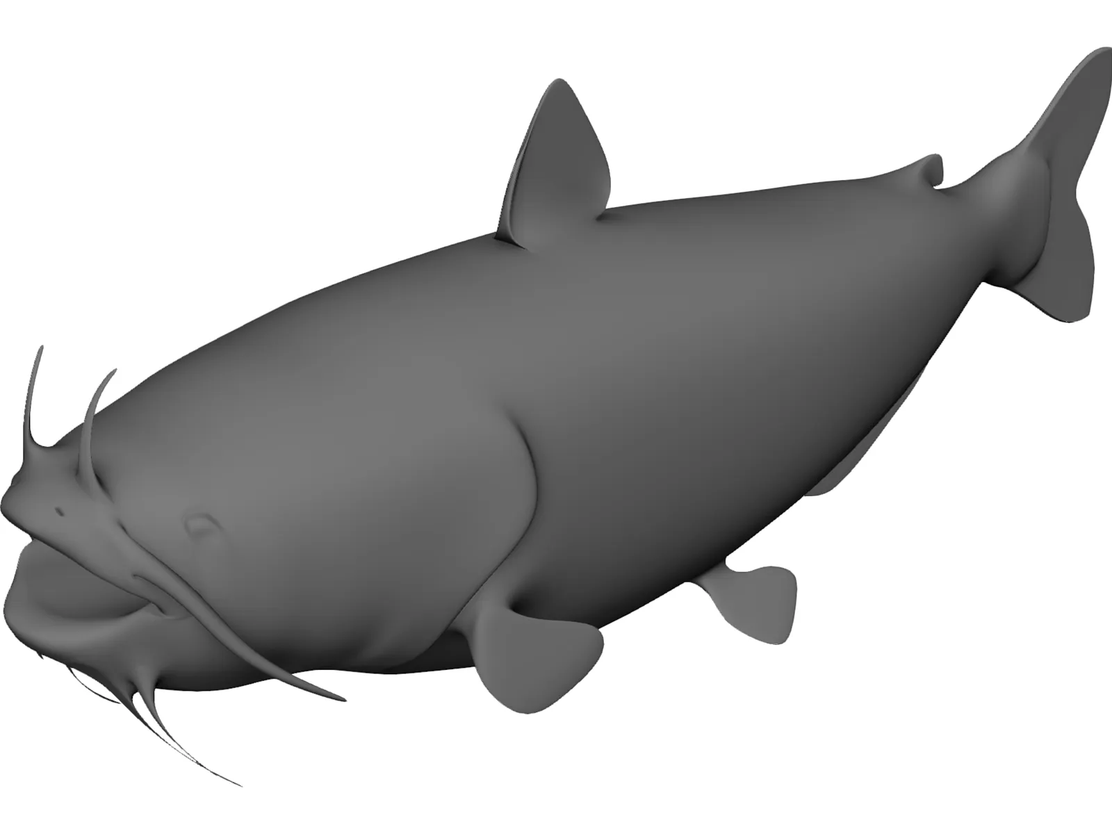 Blue Catfish 3D Model