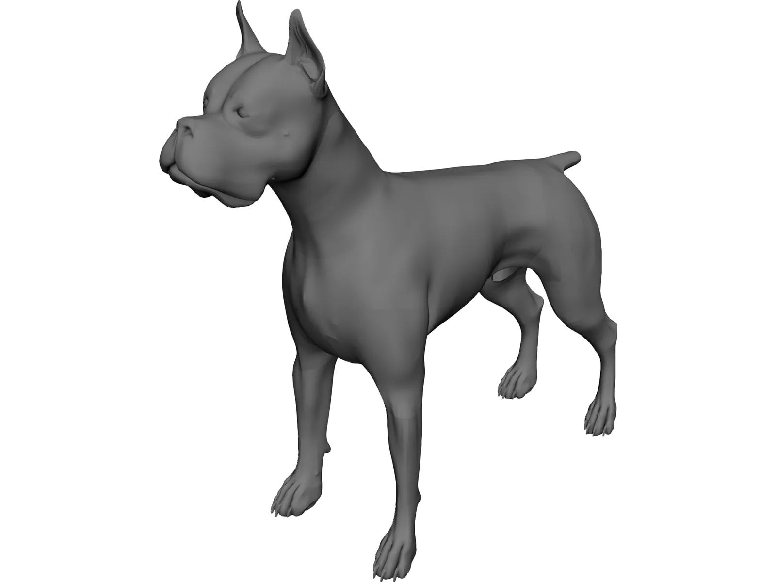 Dog Boxer 3D Model