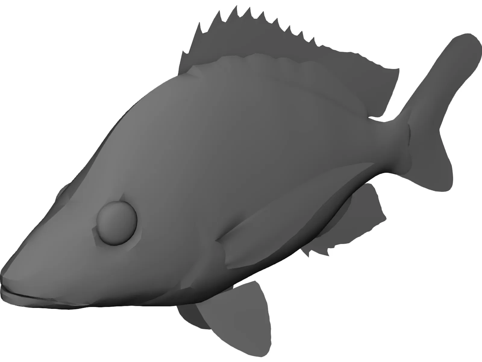 John Dory Type Fish 3D Model