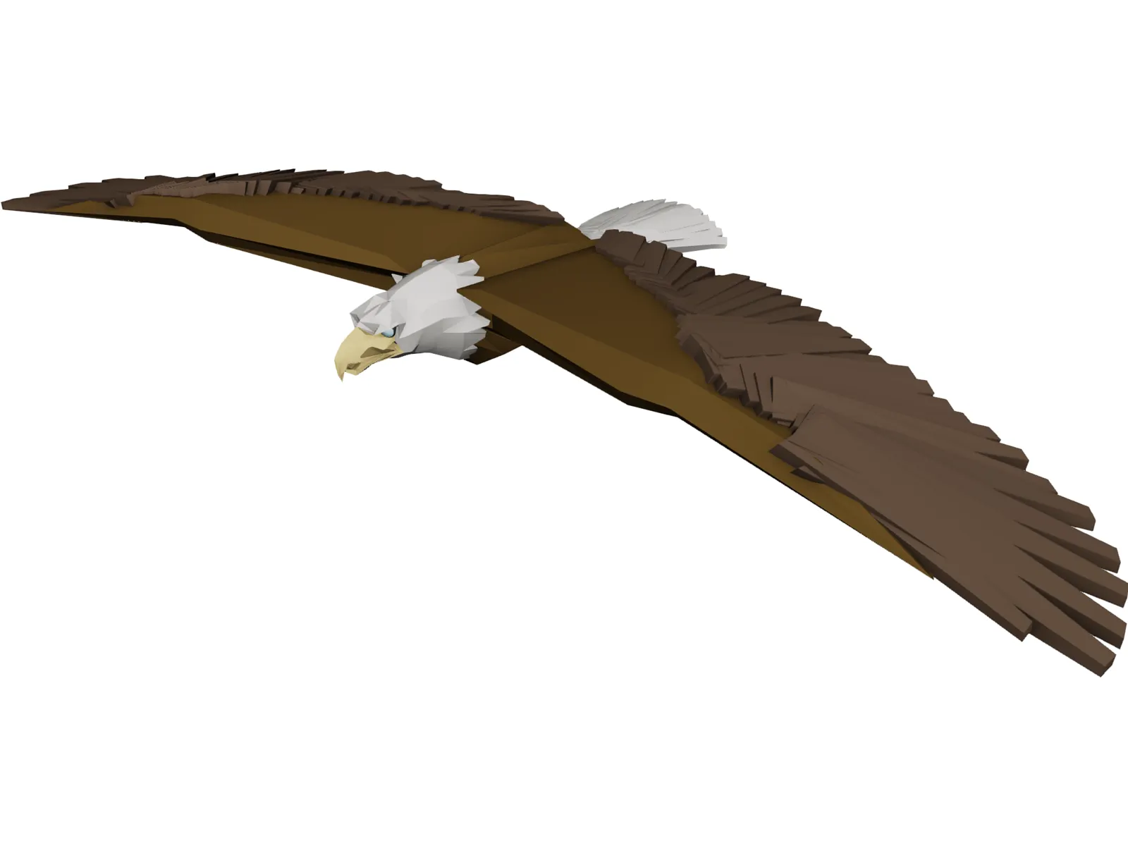 Bald Eagle 3D Model