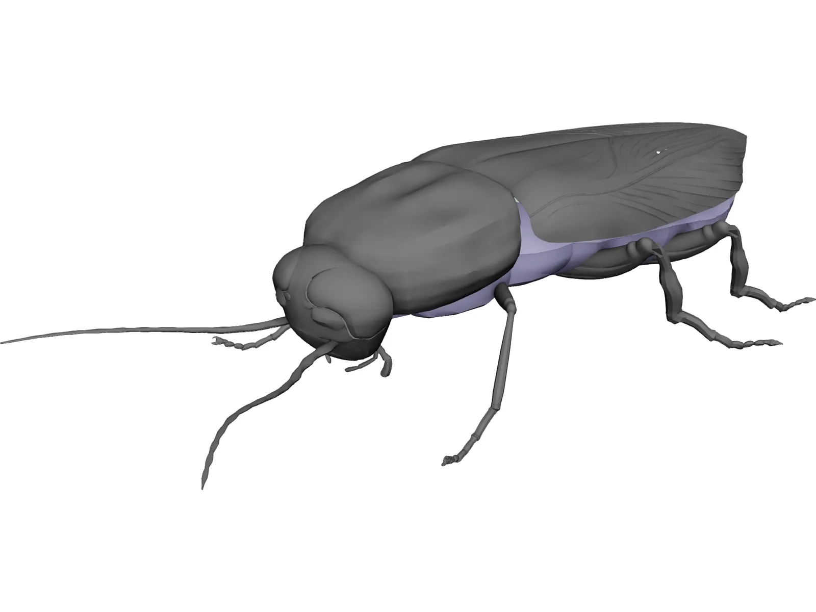 Firebeetle 3D Model