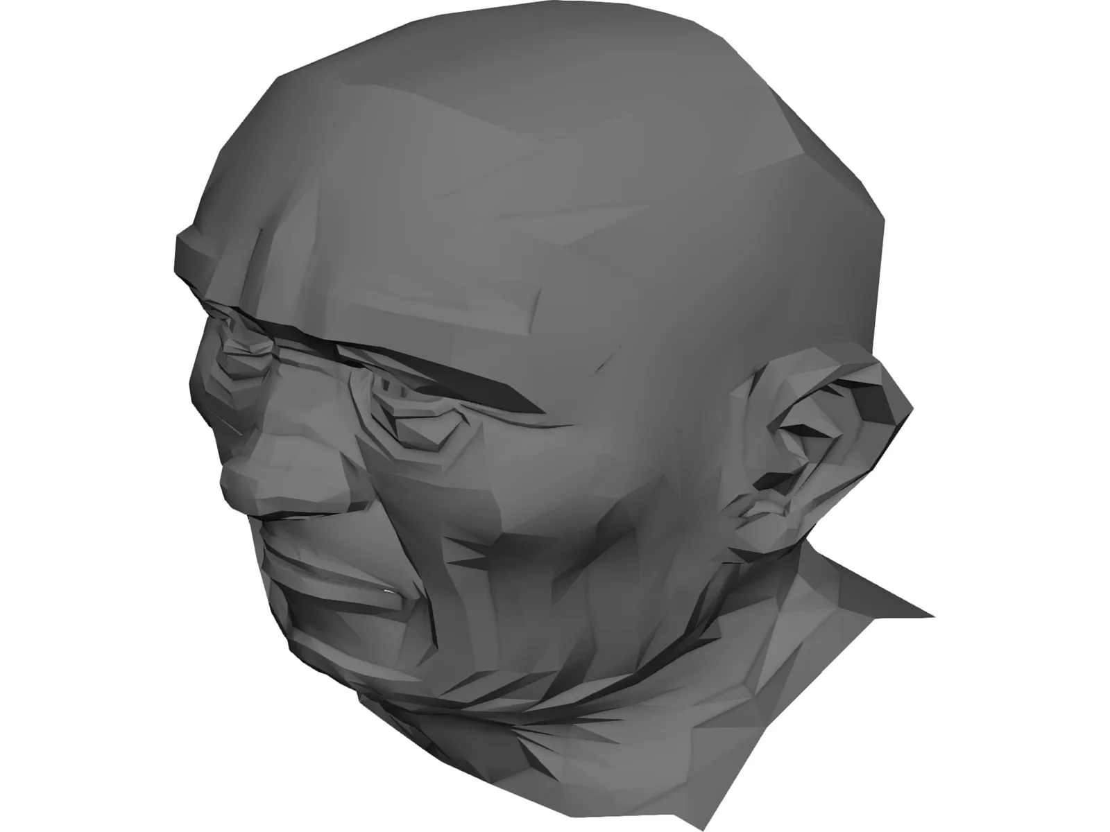 Head 3D Model